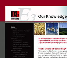 E3 Consulting Website