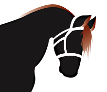 Finger Lakes Equine Logo